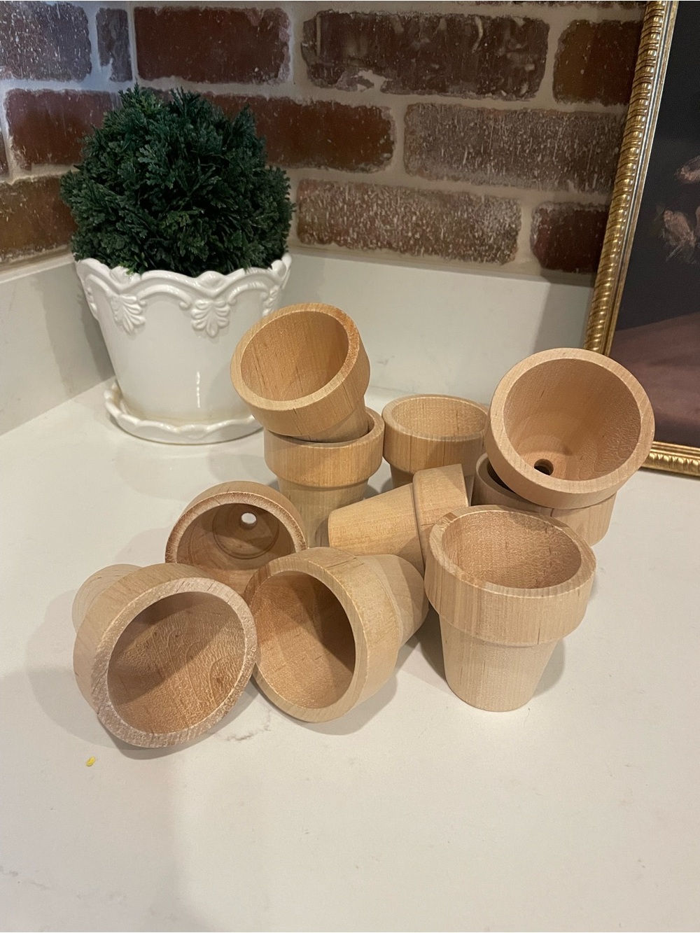 Unbranded Natural Wood Mini Plant Pots - Set of 10